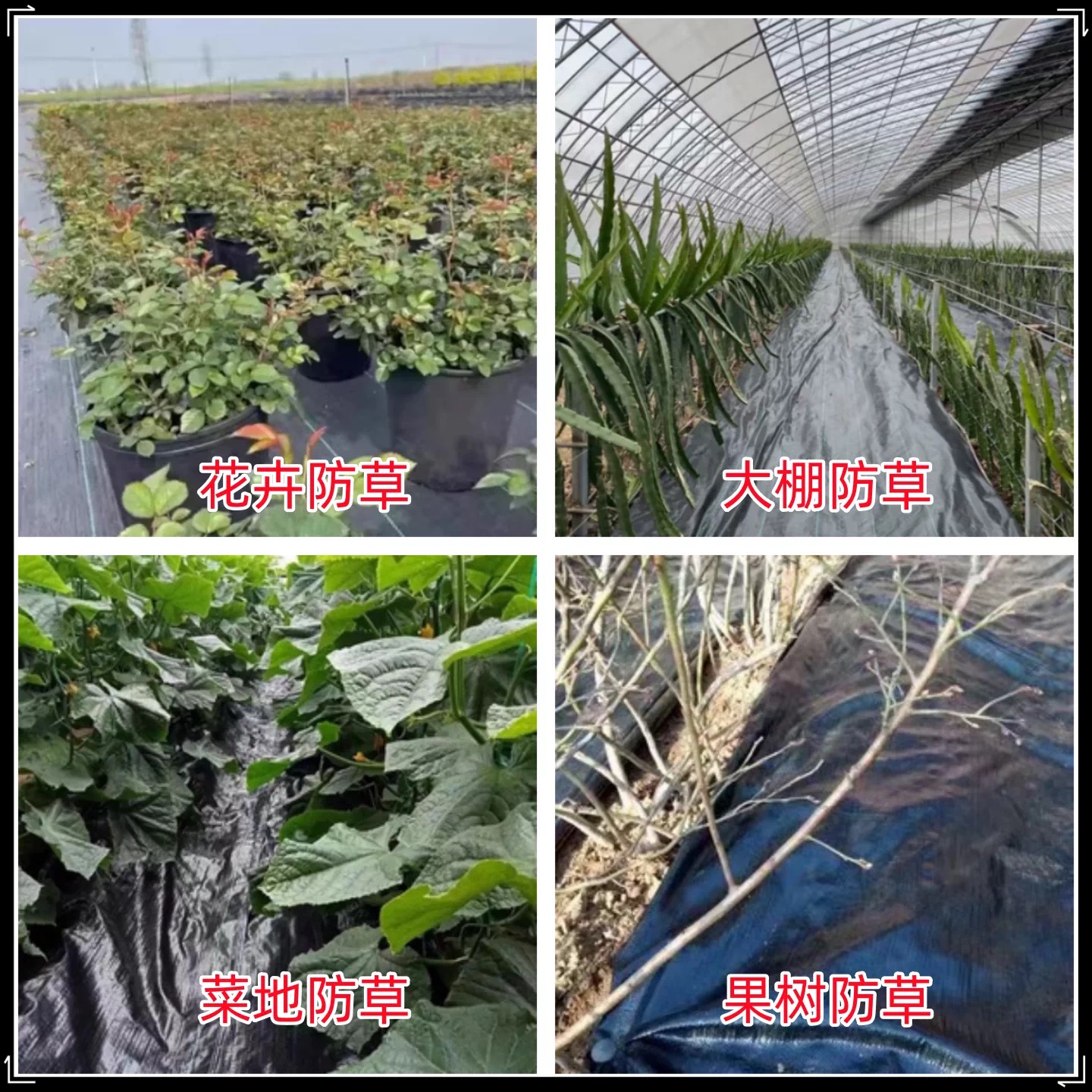 通化市工程膜防草布 - 价格