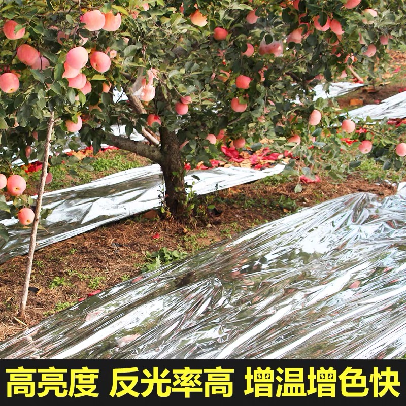 通化市黑白养殖膜果树反光膜 - 一站式服务